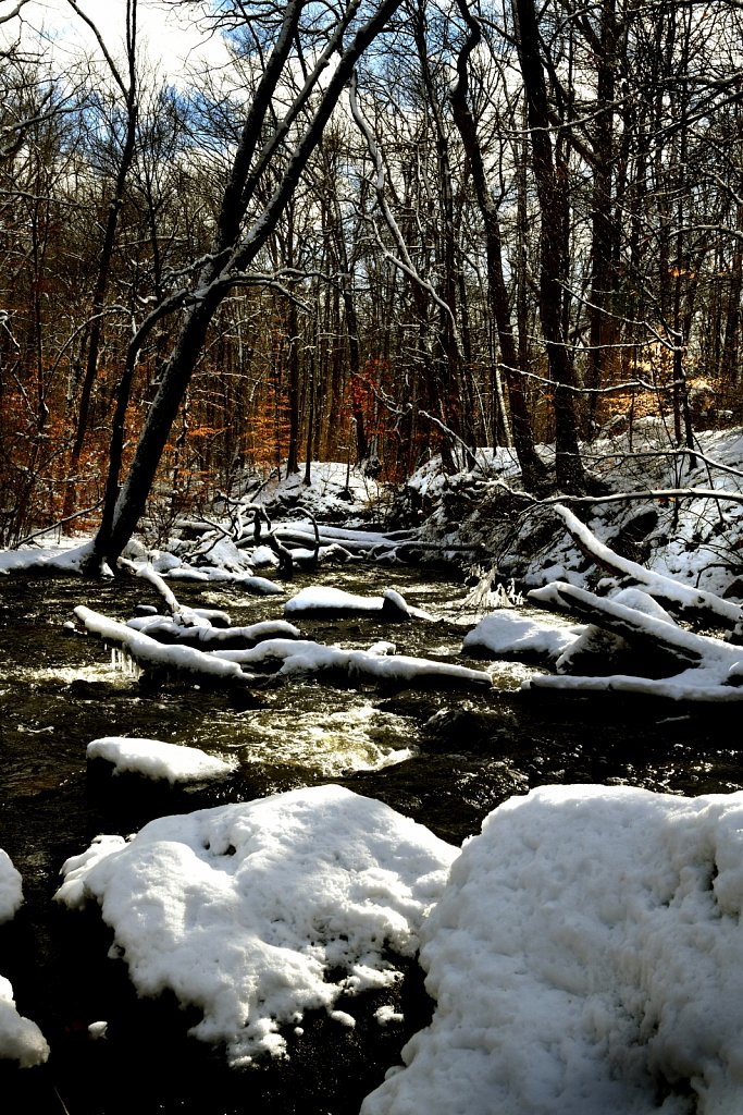 Cooper Grist Mill