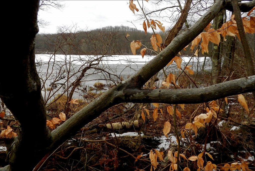 Allamuchy Mountain State Park