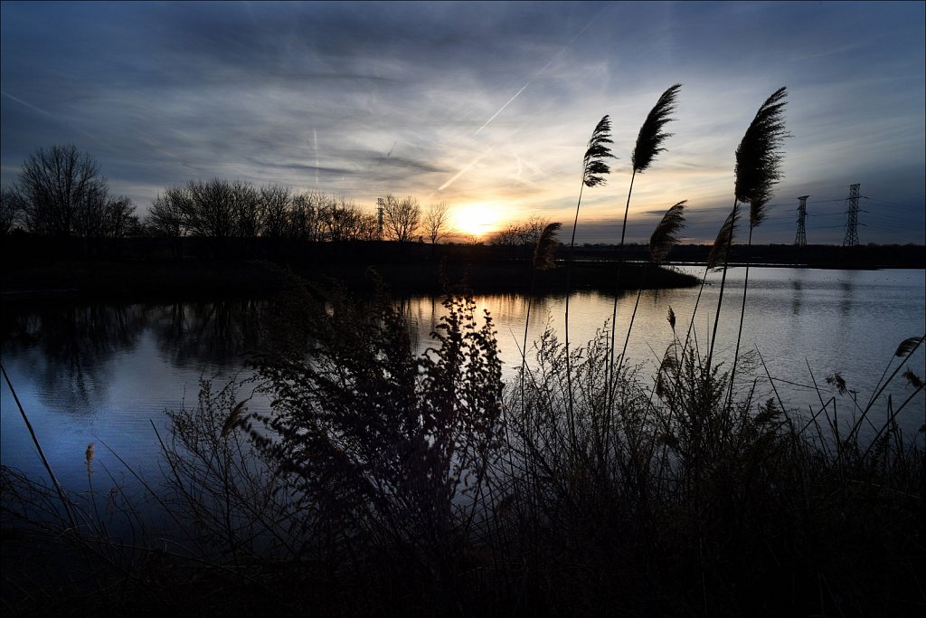 Meadowlands Sunset