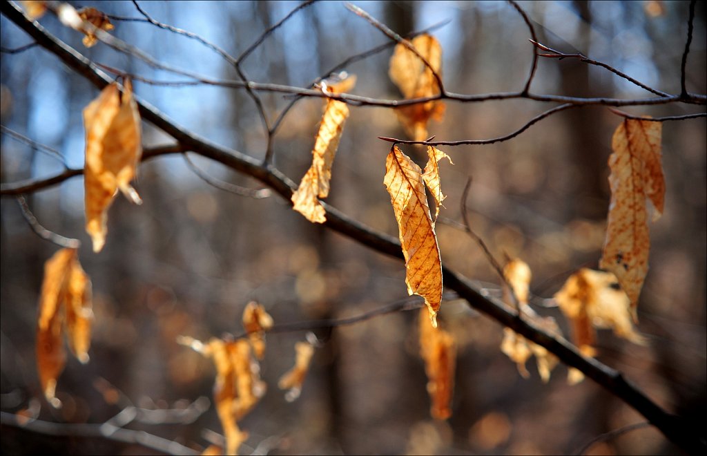 Schooley's Mountain Park