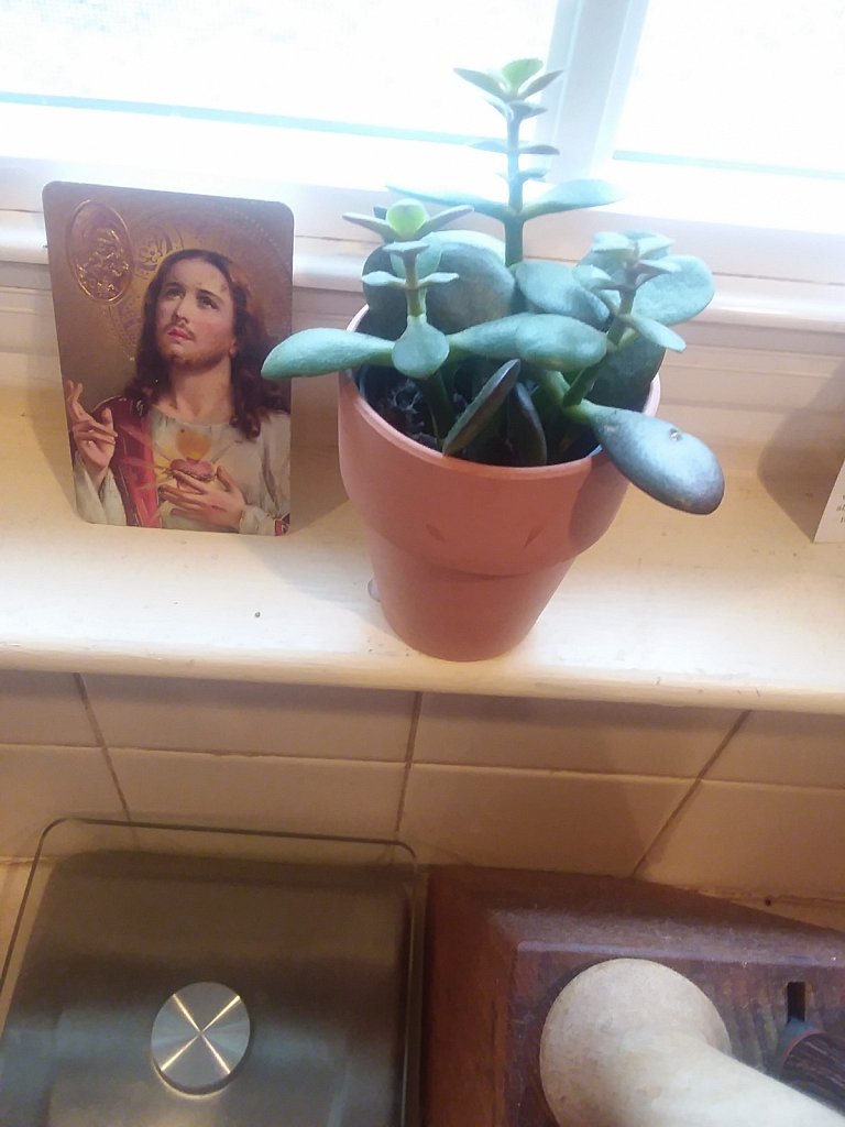 20 Photos In The Kitchen