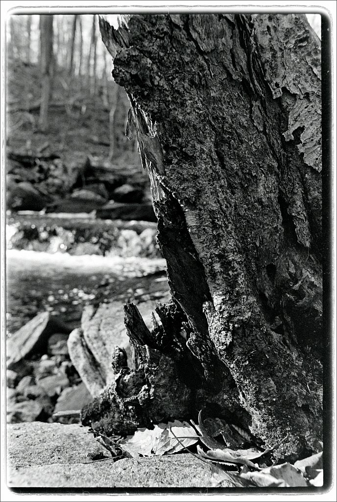 Schooley's Mountain Park