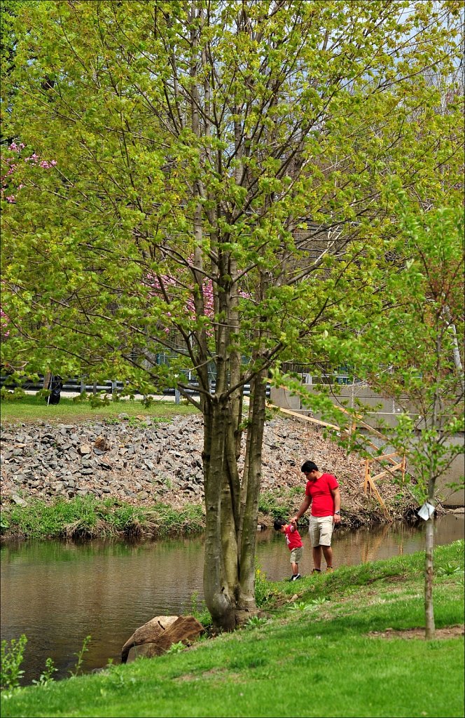 Hurd Park