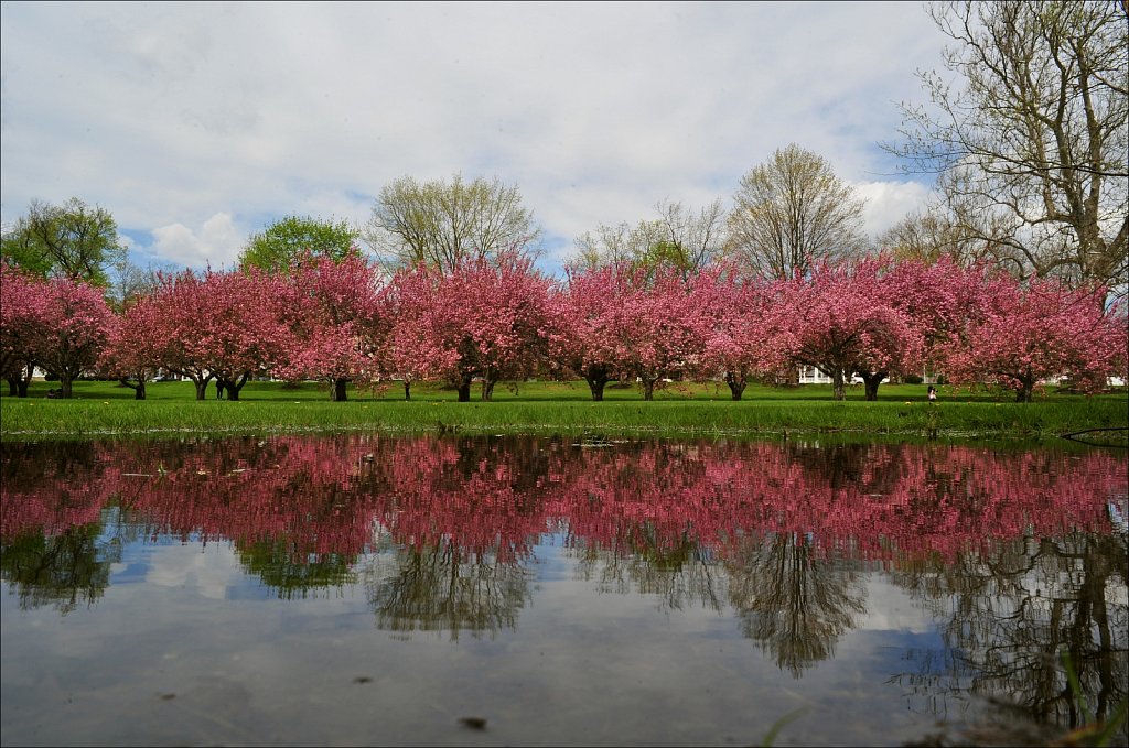 Hurd Park