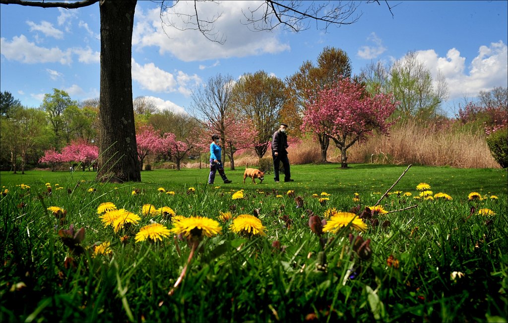 Hurd Park