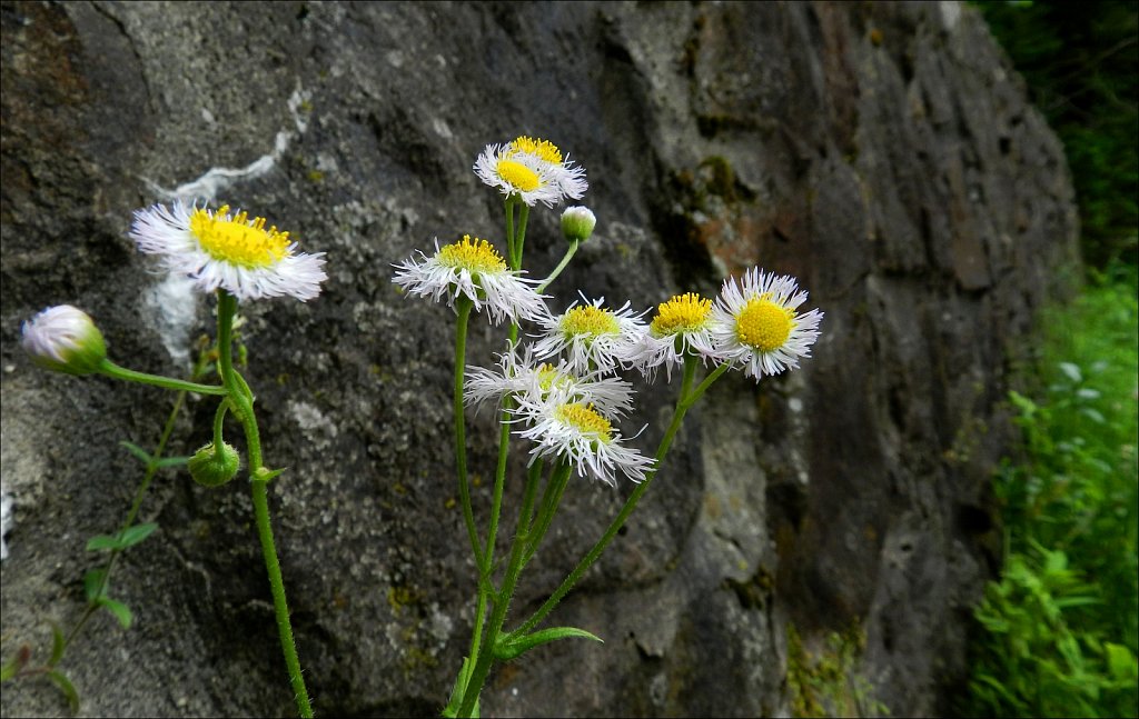 Black River County Park