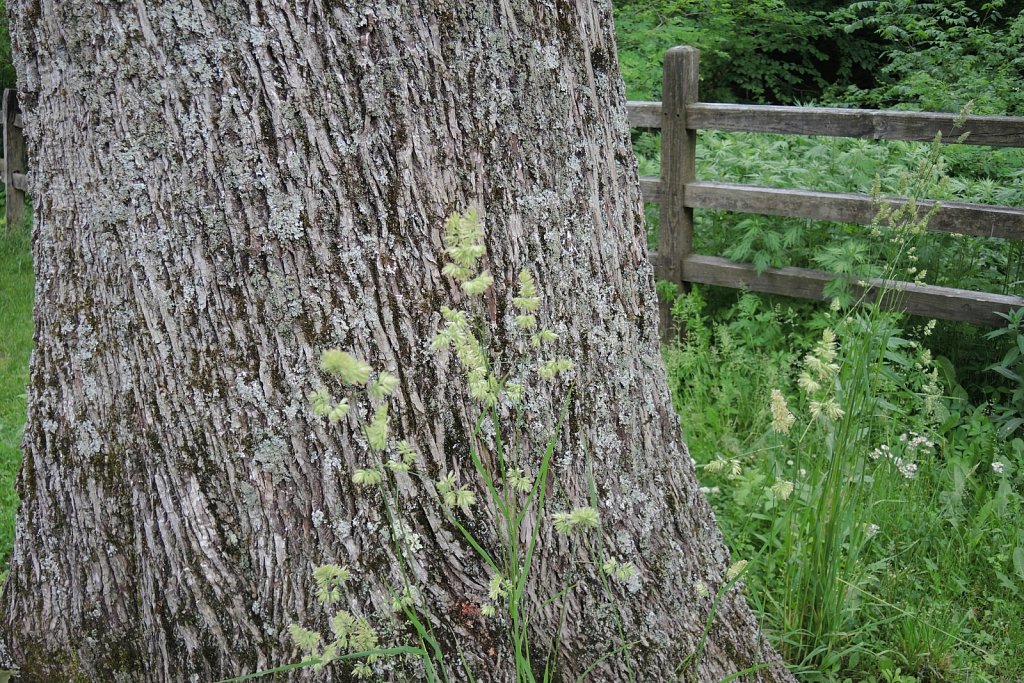 Black River County Park