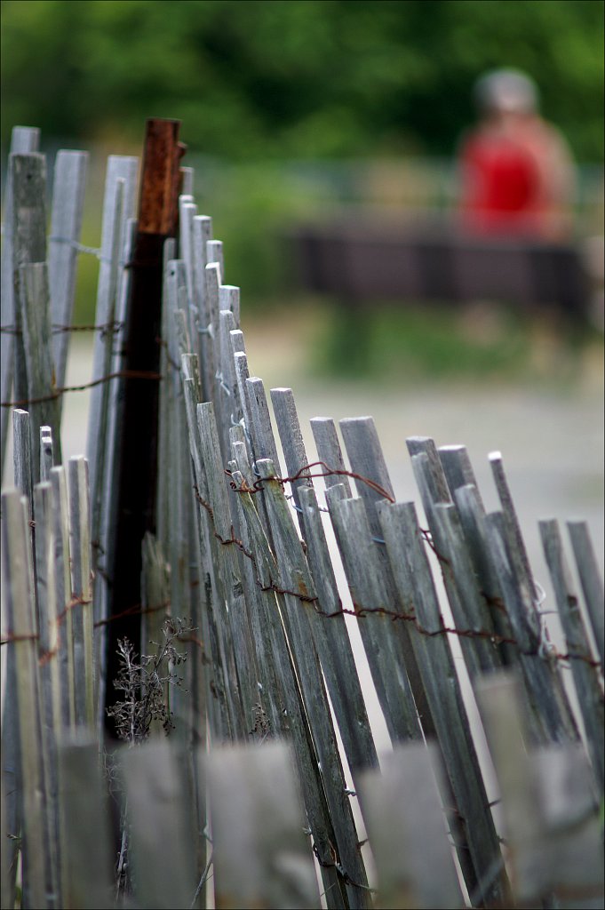 Along The Boardwalk