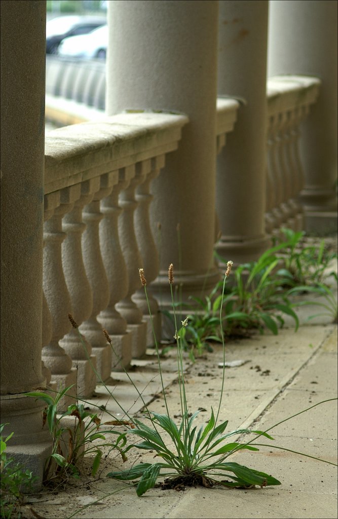 Along The Boardwalk