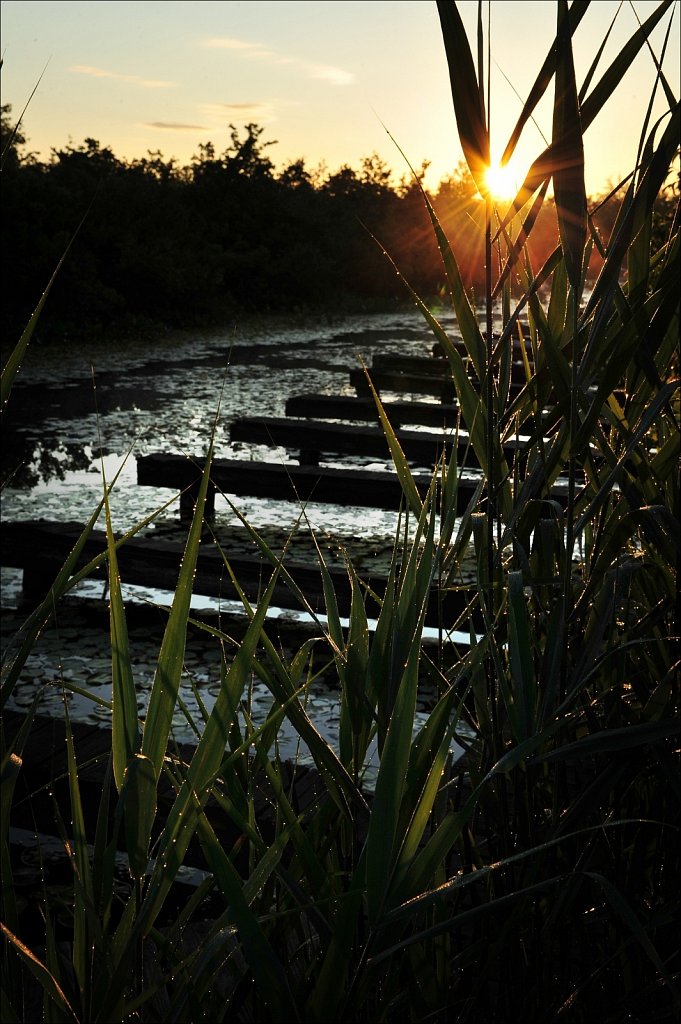 Sunrise at the South Branch