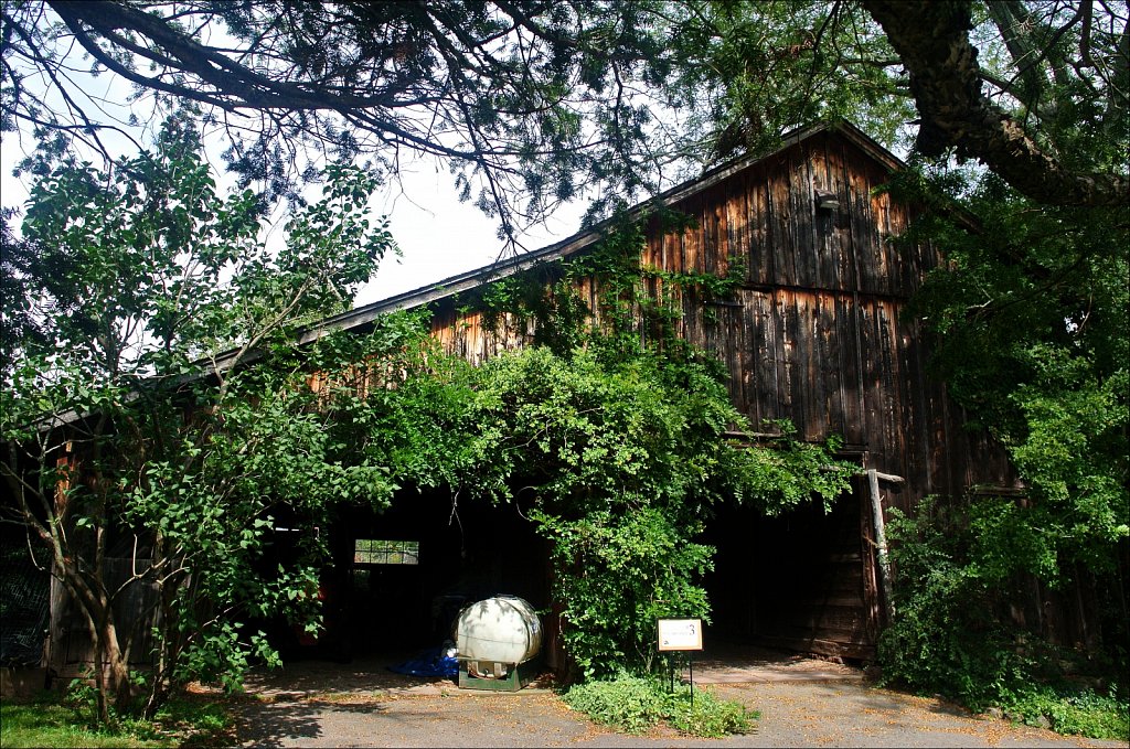 Willowwood Arboretum 