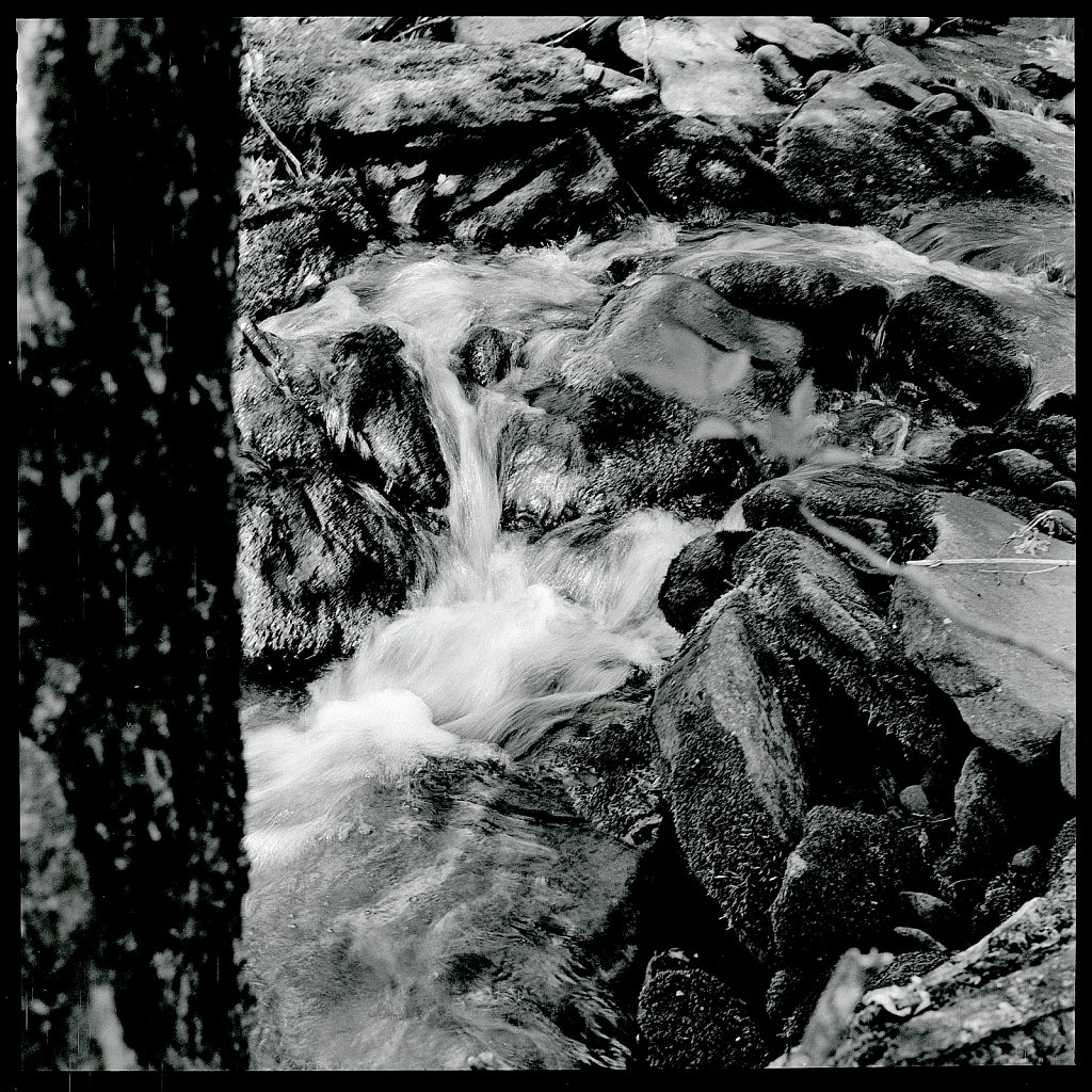 2020118F-Autocord-TriX-A-07.jpg