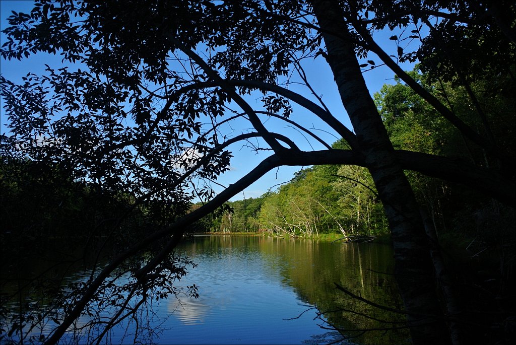 Maiers Pond