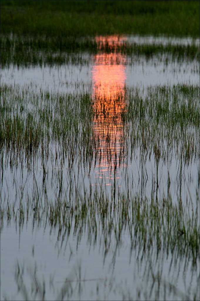 Cedar Island