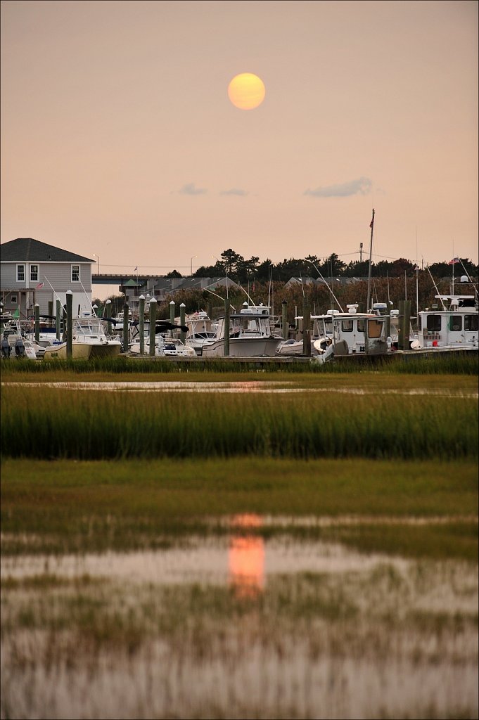 Cedar Island