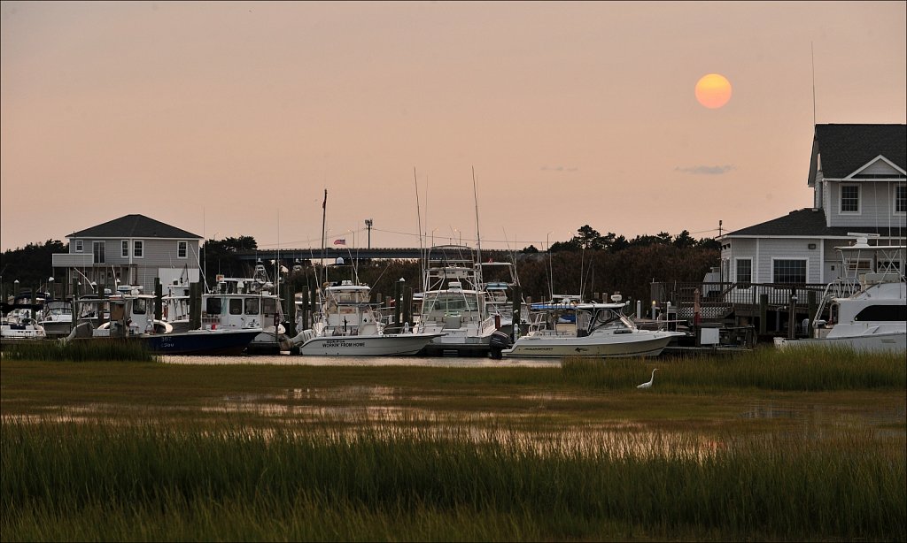 Cedar Island