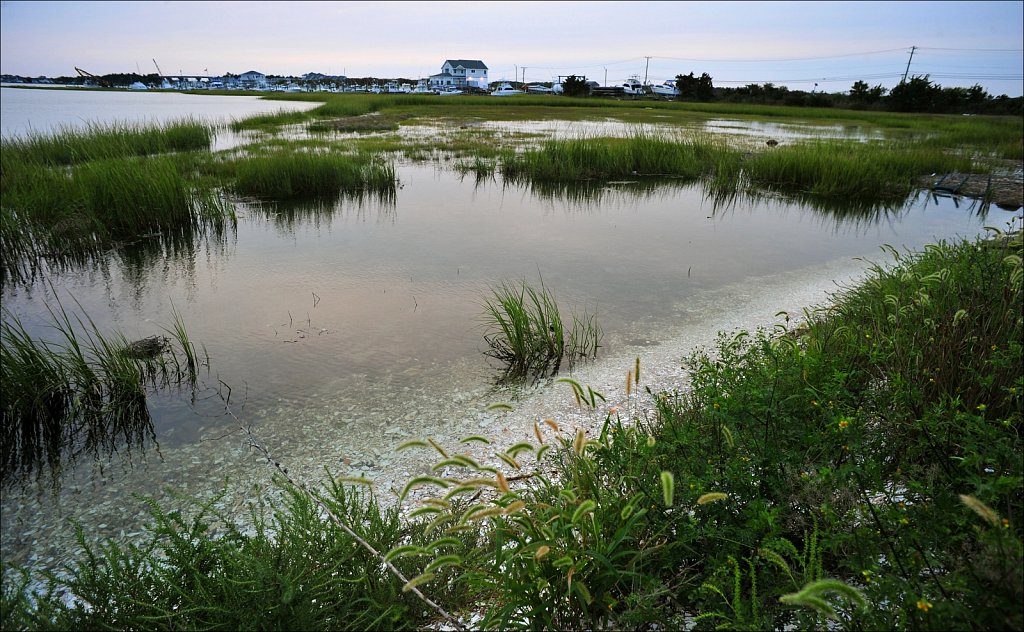 Cedar Island