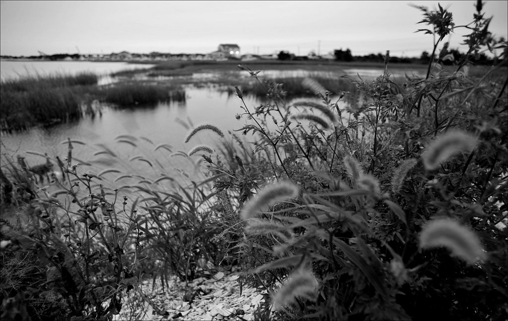 Cedar Island