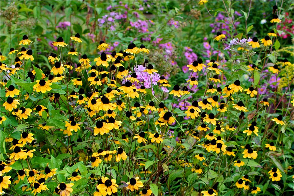 Skylands Manor - Ringwood State Park