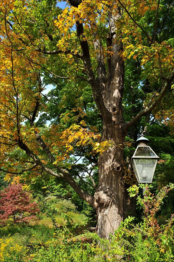 Skylands Manor - Ringwood State Park