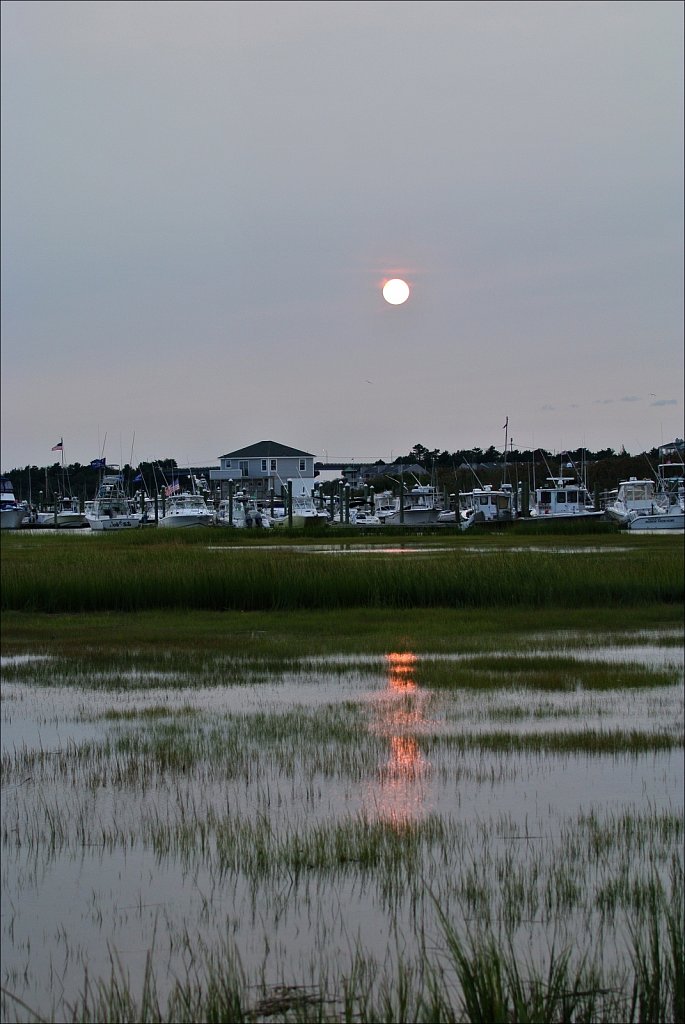 Cedar Island
