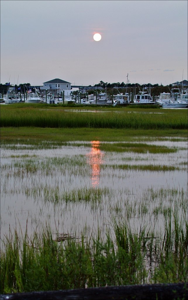 Cedar Island