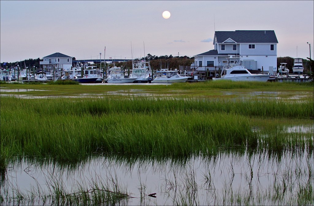 Cedar Island