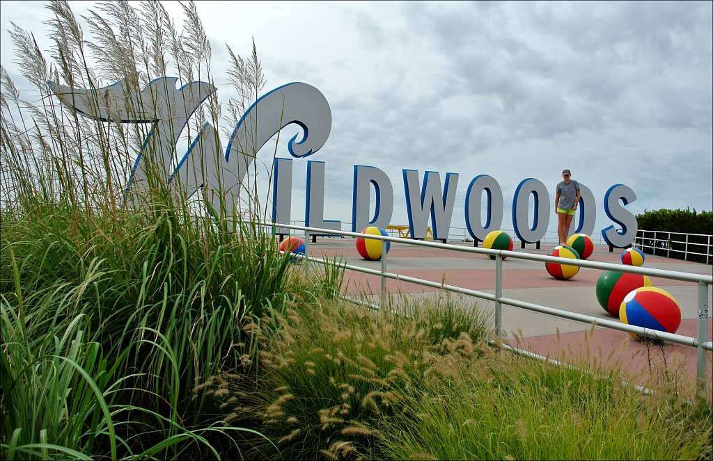 Along the Wild Wood Boardwalk