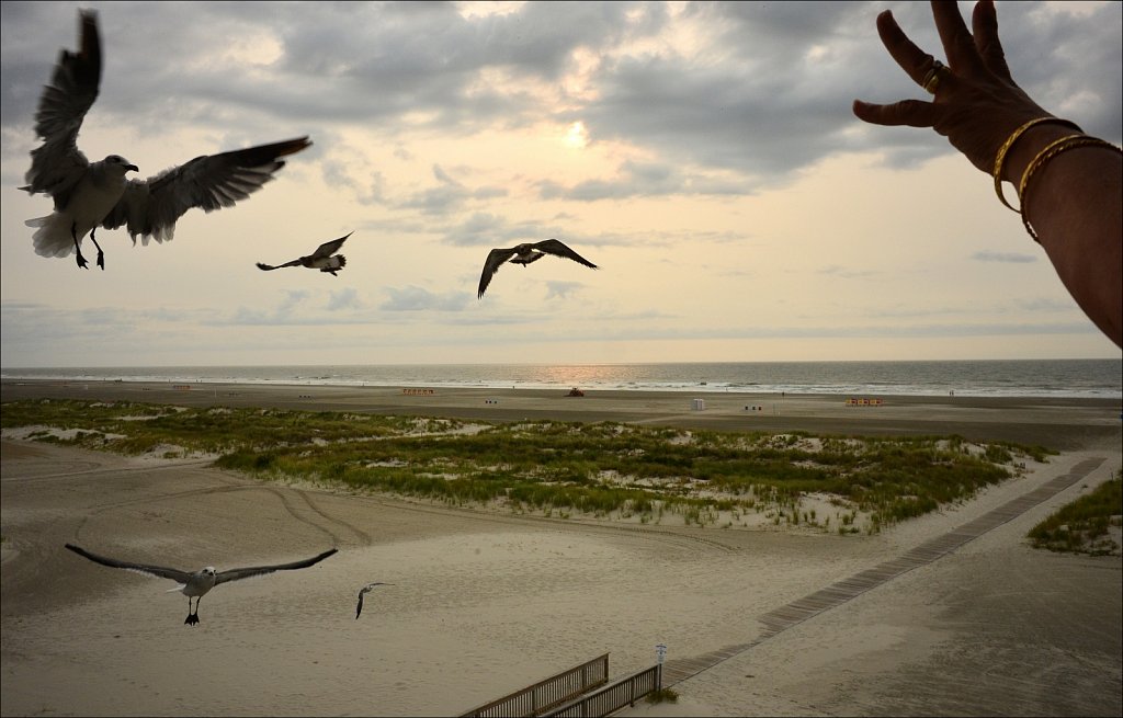 Wildwood Crest