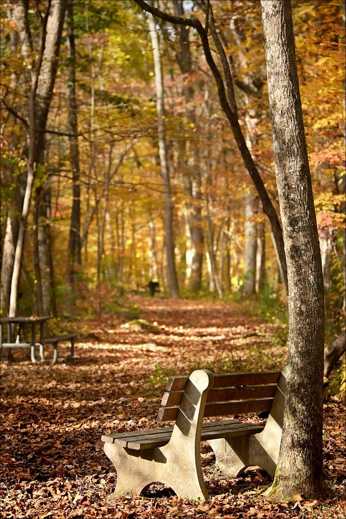 Stephens State Park