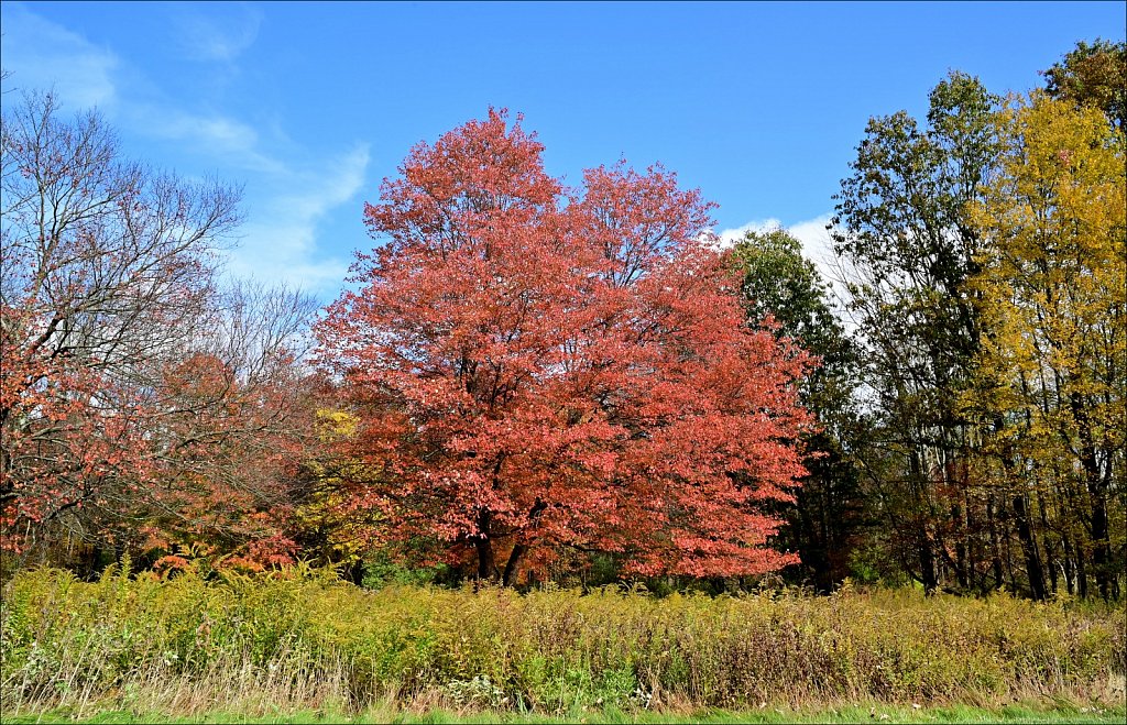 Schooley's Mountain Park