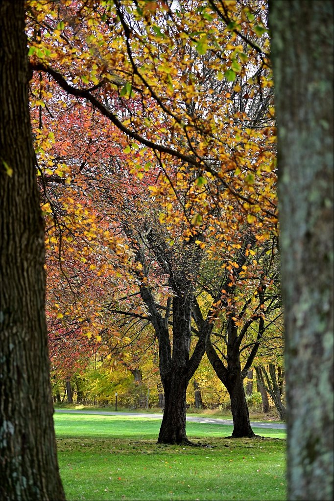 Schooley's Mountain Park