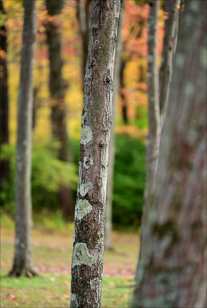 Schooley's Mountain Park