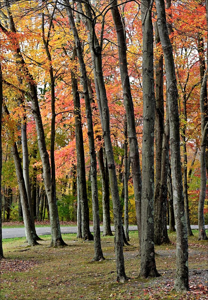 Schooley's Mountain Park