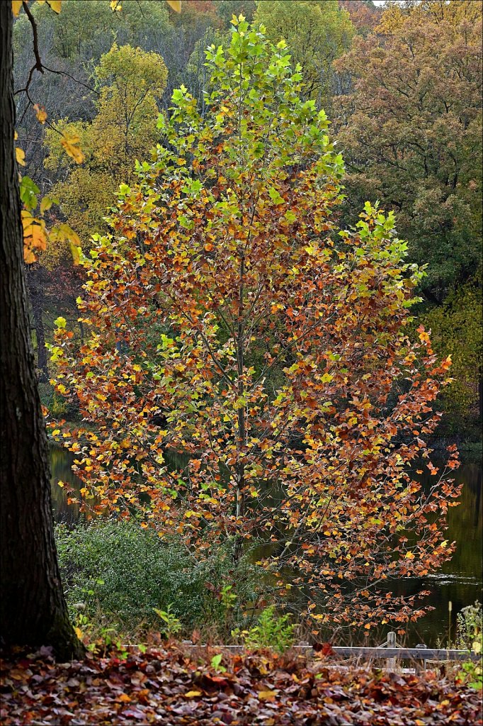 Schooley's Mountain Park