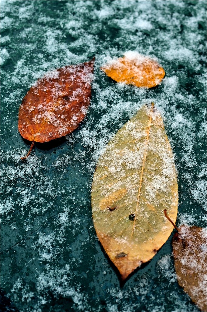 First Snow of the Season