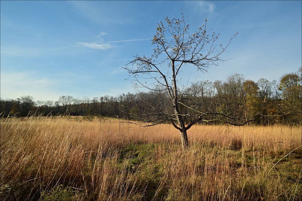 Jockey Hollow