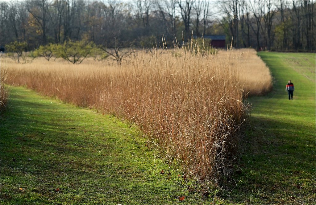 Jockey Hollow