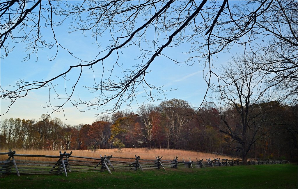 Jockey Hollow