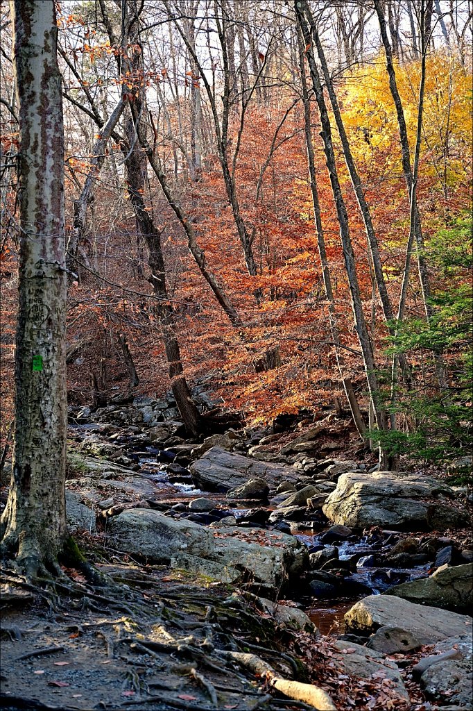 Hedden County Park