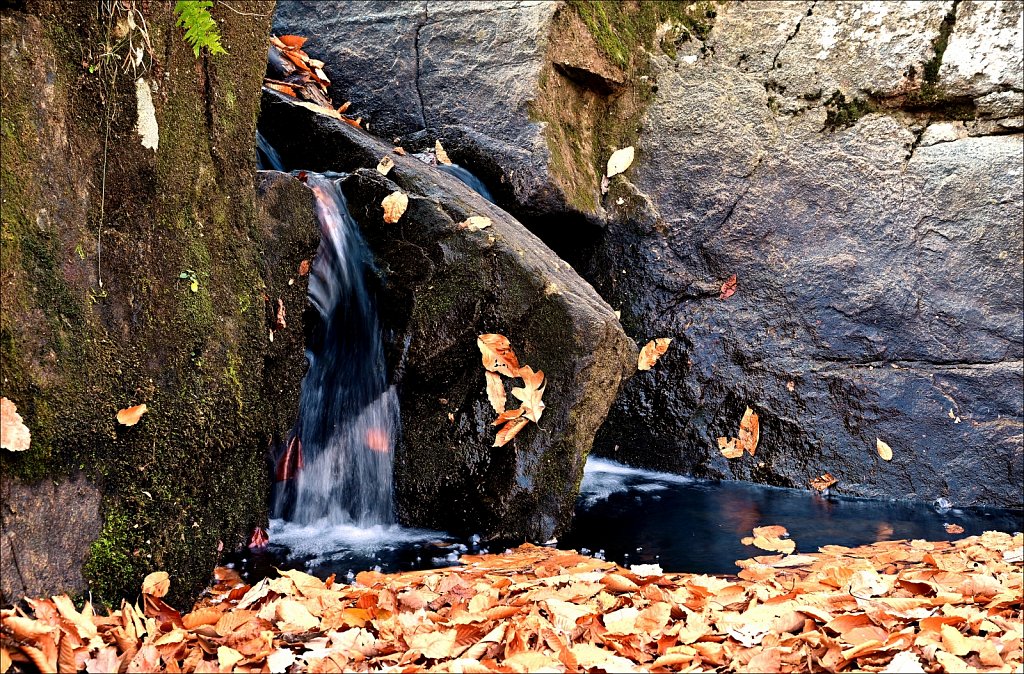 Hedden County Park