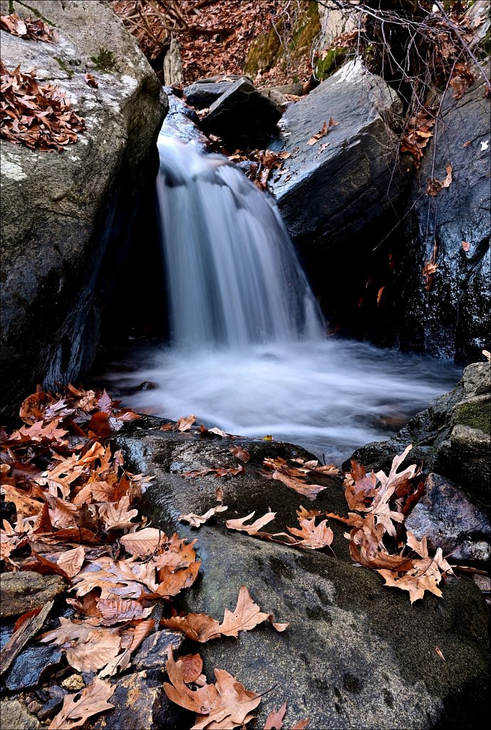 Hedden County Park