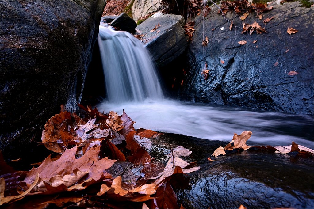 Hedden County Park