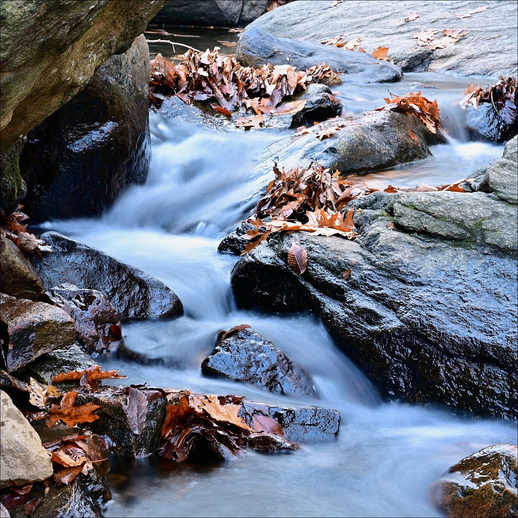 Hedden County Park