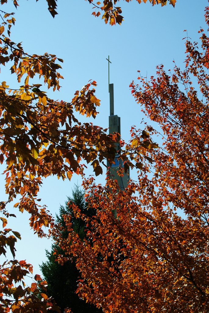 The Shrine of Our Lady of Czestochowa   
