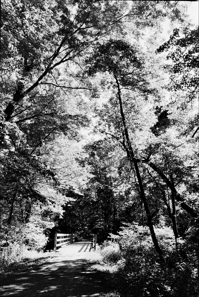 Bridge On Columbia Trail