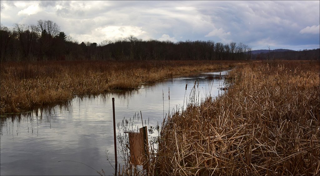 Black River Wildlife Management Area