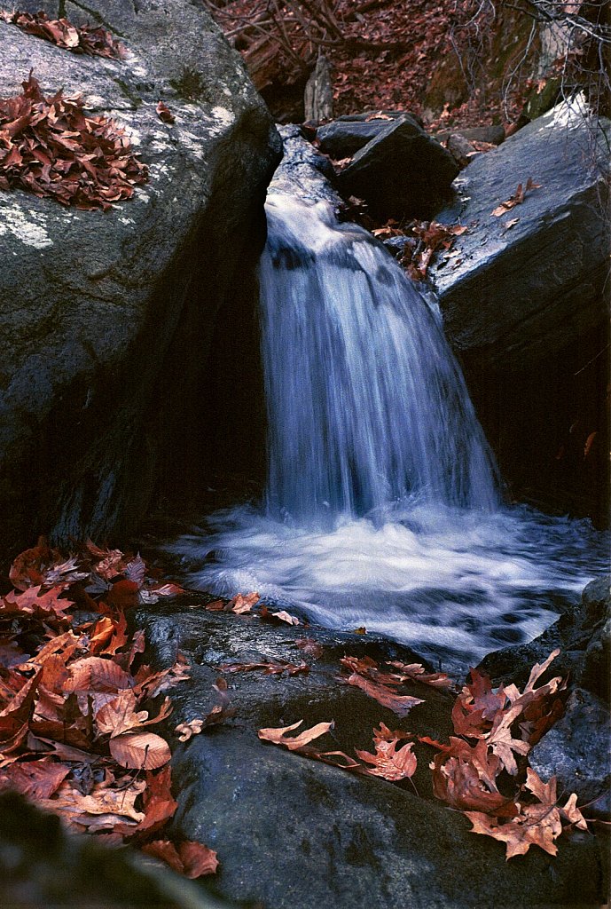 2021001F-Minolta-XK-6a-Kodak-Ultra-400.jpg