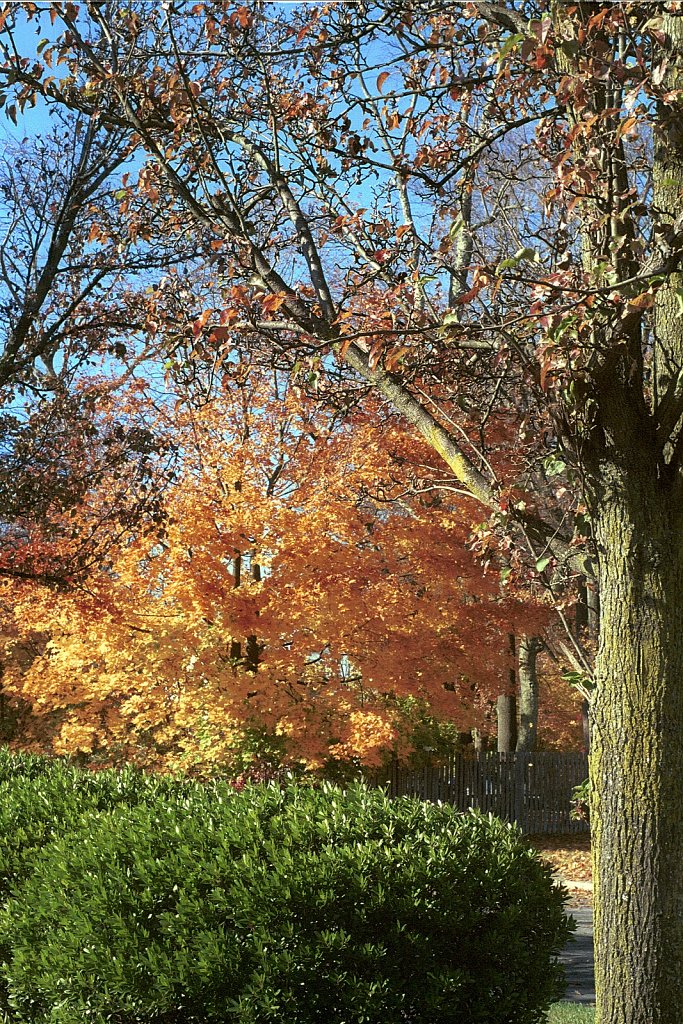 2021001F-Minolta-XK-11a-Kodak-Ultra-400.jpg