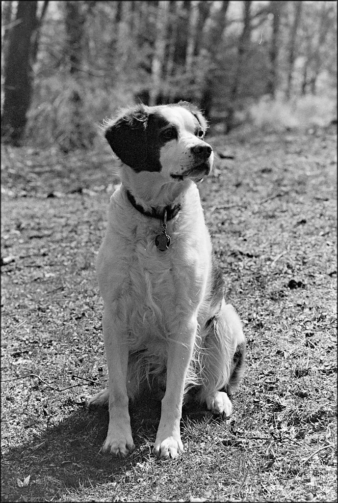 2021001F-Nikkormat-FT3-Roll-A-13a-Kodak-TriX.jpg